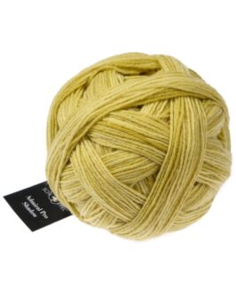 <span class="yarn-title">Admiral Pro Shadow</span> <span class="yarn-color">2372 Stachelbeere</span>