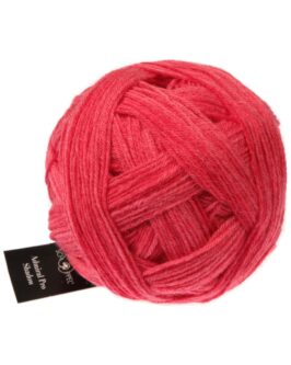 <span class="yarn-title">Admiral Pro Shadow</span> <span class="yarn-color">2443 Roter Pfeffer</span>