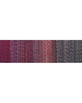 <span class="yarn-title">Crazy Perlen</span> <span class="yarn-color">2588 Daxophone</span>