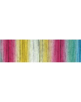 <span class="yarn-title">Reggae Ombré</span> <span class="yarn-color">2357 Streiflichter</span>