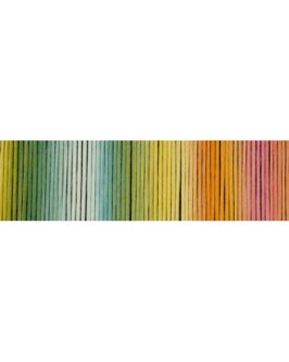 <span class="yarn-title">Reggae Ombré</span> <span class="yarn-color">2594 Katzengold</span>