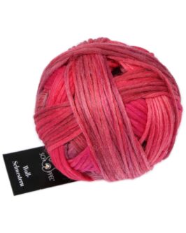 <span class="yarn-title">Woll-Schwestern</span> <span class="yarn-color">2646 Berta</span>