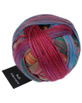 <span class="yarn-title">Woll-Schwestern</span> <span class="yarn-color">2648 Clara</span>