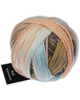 <span class="yarn-title">Woll-Schwestern</span> <span class="yarn-color">2663 Charlotte</span>