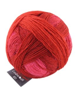 <span class="yarn-title">Zauberball® 100 Pro</span> <span class="yarn-color">2166 Heißes Eisen</span>