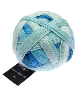 <span class="yarn-title">Zauberball® 100 Pro</span> <span class="yarn-color">2507 Überdosis</span>