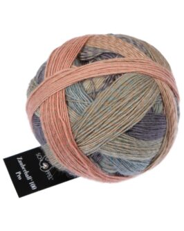 <span class="yarn-title">Zauberball® 100 Pro</span> <span class="yarn-color">2624 Elchtest</span>