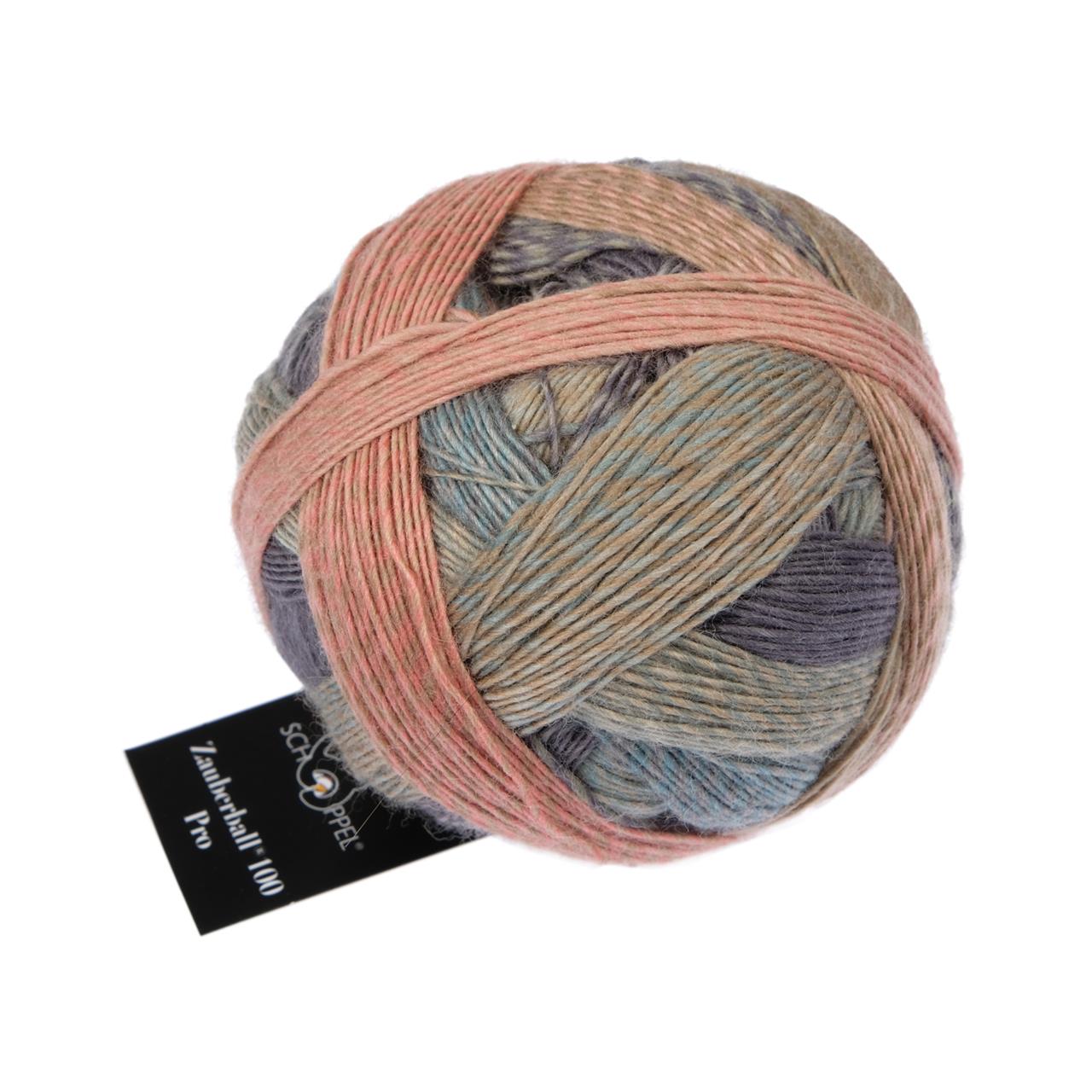 Zauberball® 100 Pro 2624 Elchtest