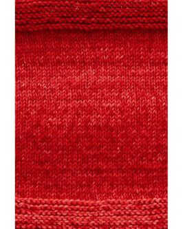 <span class="yarn-title">Monokrom Worsted</span> <span class="yarn-color">4051 Dunkelrot-Rot-Hellrot</span>