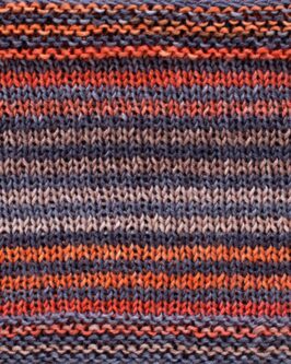<span class="yarn-title">Uneek Fingering</span> <span class="yarn-color">3021 Grau-Orange-Natur-Braun</span>